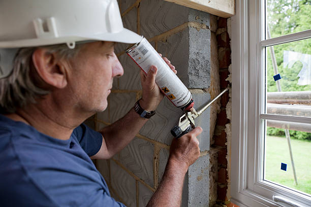 Best Insulation Contractor Near Me  in Willard, UT
